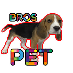 Bros Show PET Avatar