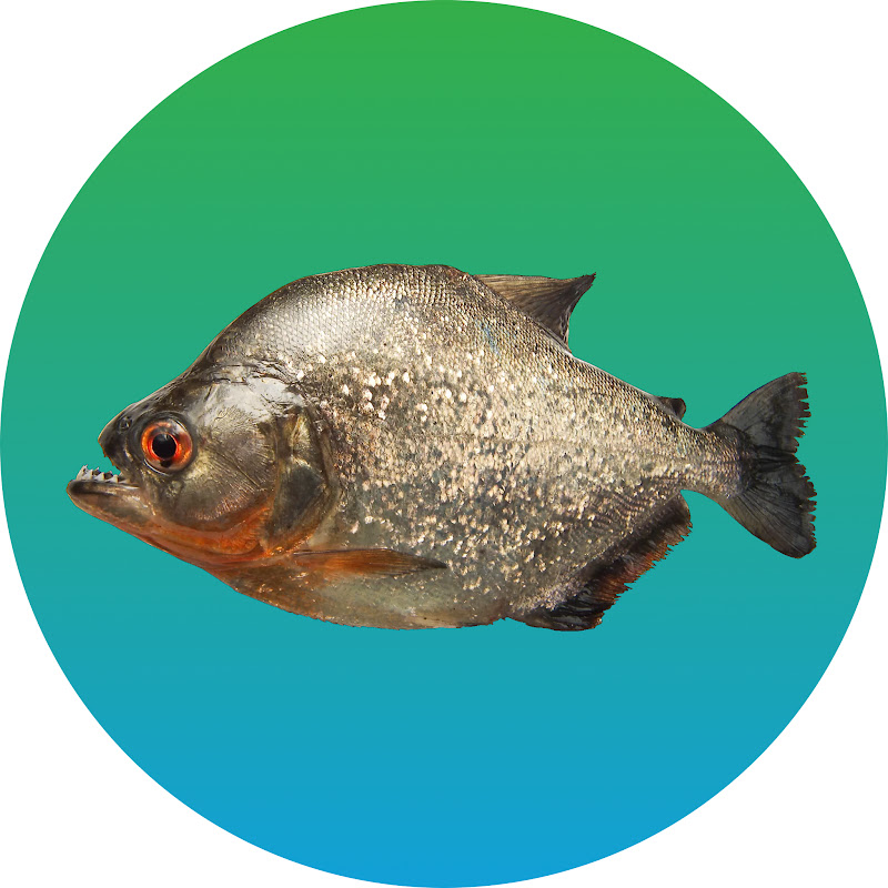 CannibalFish