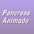 Pancreas Animado