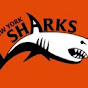 New York Sharks Aquatics logo