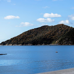 相生市観光協会アイコン画像