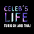 Celeb's Life