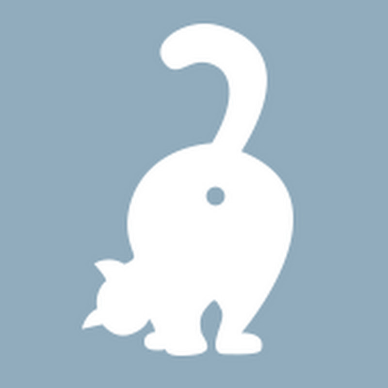 Poopy Cat