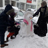Автор