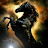 avatar of @ameen9t965