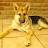 @rahuladdala's avatar