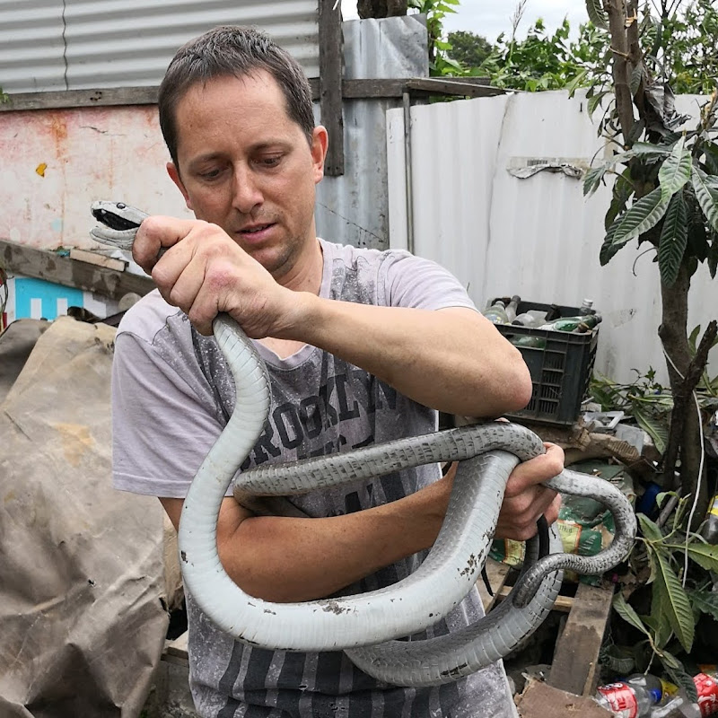 JASON ARNOLD - SNAKE HANDLER