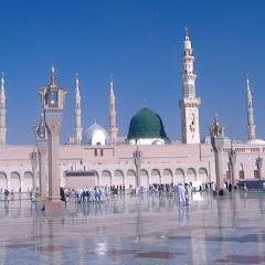 True Islam net worth