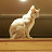 @Kim-rw7yu