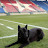 @Wisla_Krakow