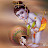 @ramahota6708