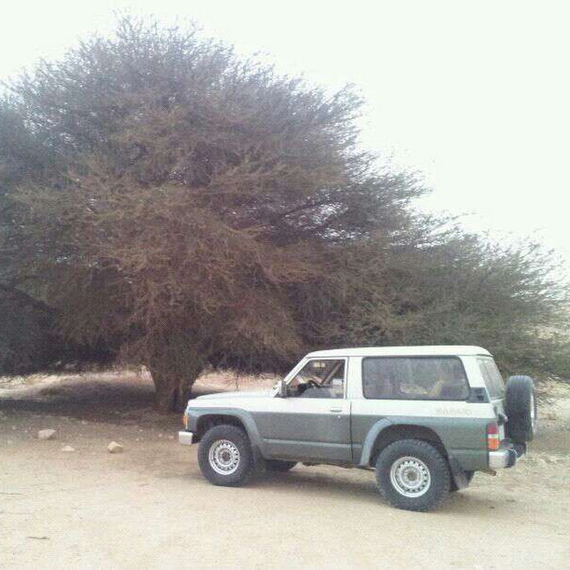 ابو ناصر