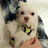 @milkbonecang6501
