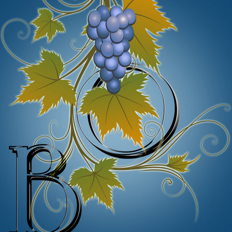 Виноград Одесса Logo