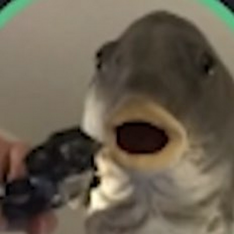 Someone Funny (Someone funny)