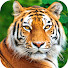 oso_y_vbCcI-channel-avatar-Nonviolent Communication Project