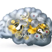 Brain Fit.