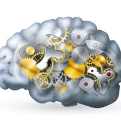 Brain Fit.アイコン画像