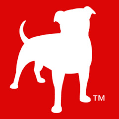 ZyngaNetwork avatar
