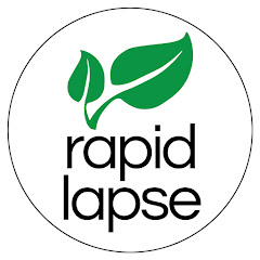 RapidLapse Avatar