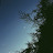 @a.alanazi2843