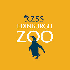 Edinburgh Zoo channel avatar
