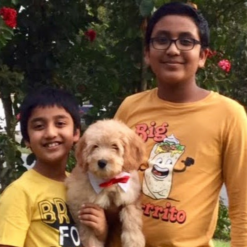 Theo & The Bros - Telugu Vlogs from USA