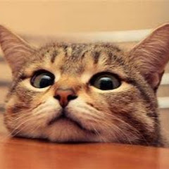 做个安静小可爱アイコン画像