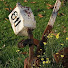 cDHvMPF9T_M-channel-avatar-kokerrok01