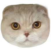 みゅう / mew mew TV