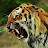 avatar of @natureenthusiast660