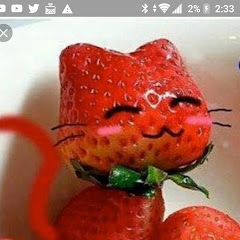 メルマガアイコン画像