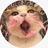 iqNtzEAYBdU-channel-avatar-Gato Capitán