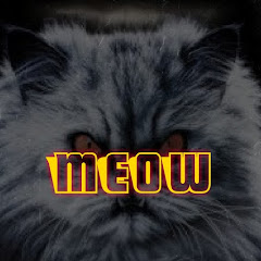Meow DGame channel logo