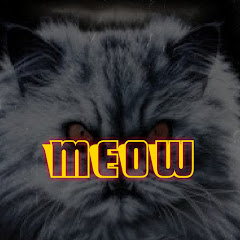 Channel thumbnail for Meow DGame