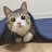 @unique-buddy