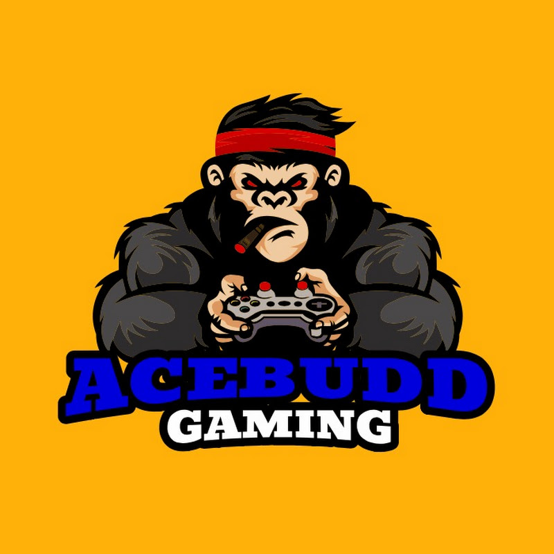 ACEBUDD GAMING
