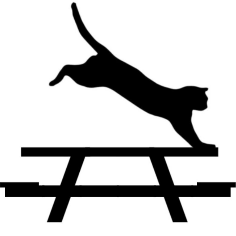CAT BOYS FREERUNNING
