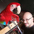 _ABZqJSHrQs-channel-avatar-Nemo The Macaw