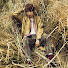 AhKYrVcAZ3A-channel-avatar-_ sgknta
