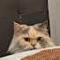 Channel Image