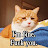 @김민성-u6f