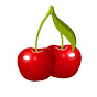 Cherry Street Entertainment logo