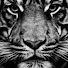 ewA1N0wmOjU-channel-avatar-Freddie Bluk