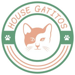 House Gatitos channel logo