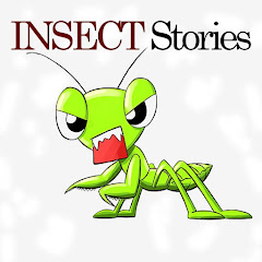 Insect Stories Avatar