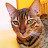 @gregsonberlin3782's avatar