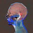 3EQkg80gewA-channel-avatar-MonadeNomade