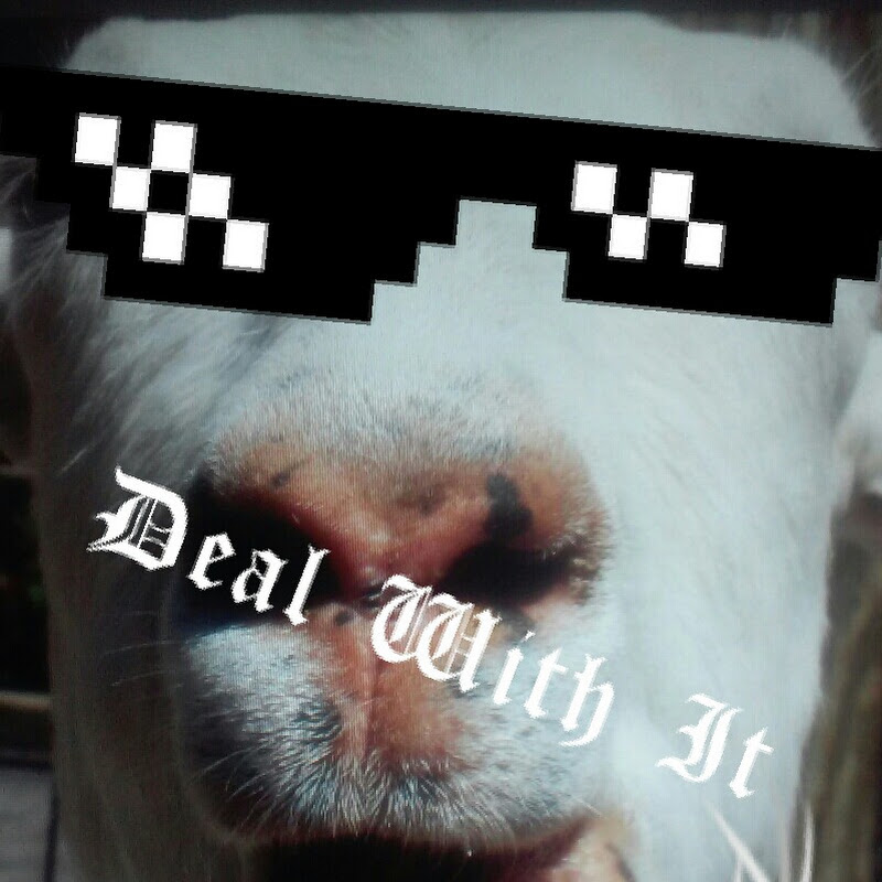 LordofGoats 22