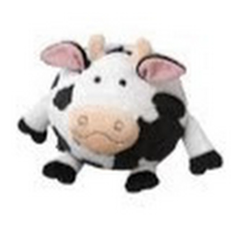 Finoose icon